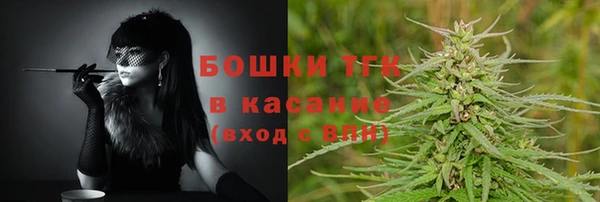 ПСИЛОЦИБИНОВЫЕ ГРИБЫ Пересвет