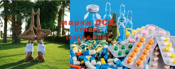 ПСИЛОЦИБИНОВЫЕ ГРИБЫ Пересвет