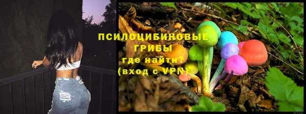 ПСИЛОЦИБИНОВЫЕ ГРИБЫ Пересвет