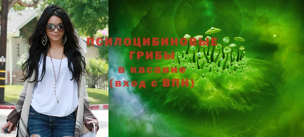 ПСИЛОЦИБИНОВЫЕ ГРИБЫ Пересвет