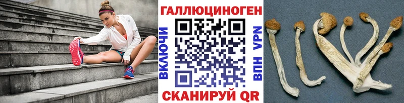 даркнет сайт Алушта Псилоцибиновые грибы мицелий
