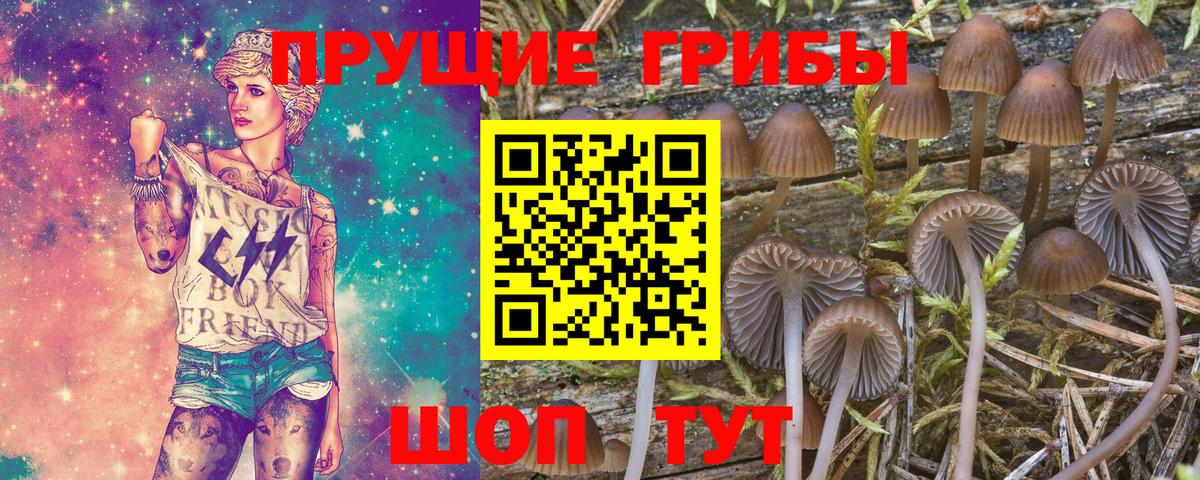 Алушта  Галлюциногенные грибы прущие грибы  Вход с VPN 