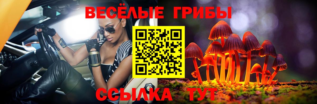 Псилоцибиновые грибы мухоморы Алушта